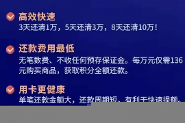 府谷为什么选择专业追讨公司来处理您的债务纠纷？